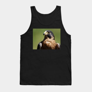 Peregrine Falcon Tank Top